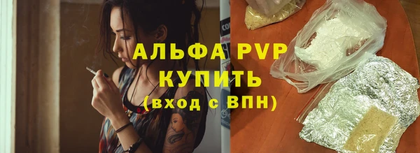 СК Зеленодольск