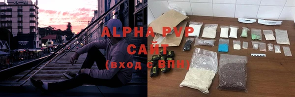 прущие грибы Зерноград