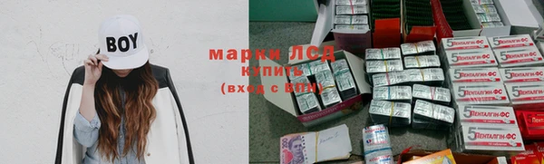 прущие грибы Зерноград