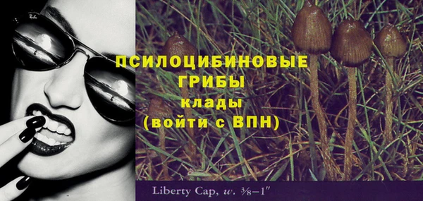 соль ск Зеленокумск
