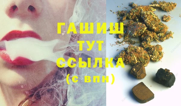 прущие грибы Инта