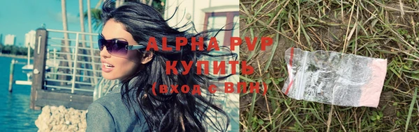 прущие грибы Инта