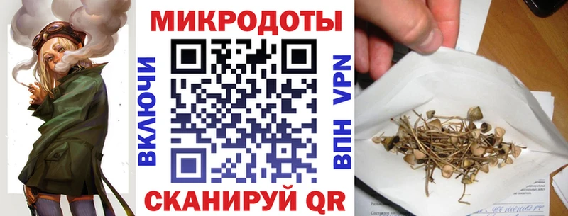 Купить  Усинск  Галлюциногенные грибы Psilocybe 